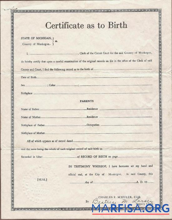 Realistic United State Circuit court of Michigan birth certificate example